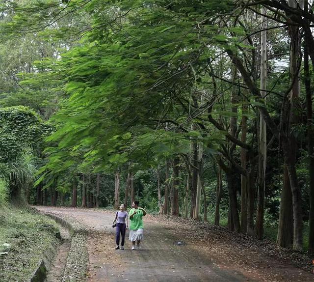 广州帽峰山晋级国家3A级旅游景区