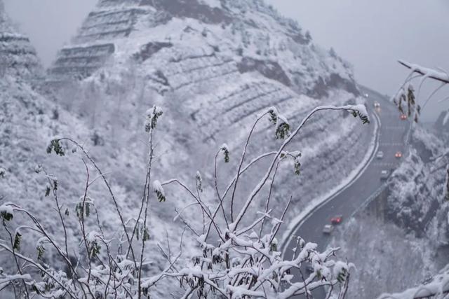 美院遇雪，纷飞间