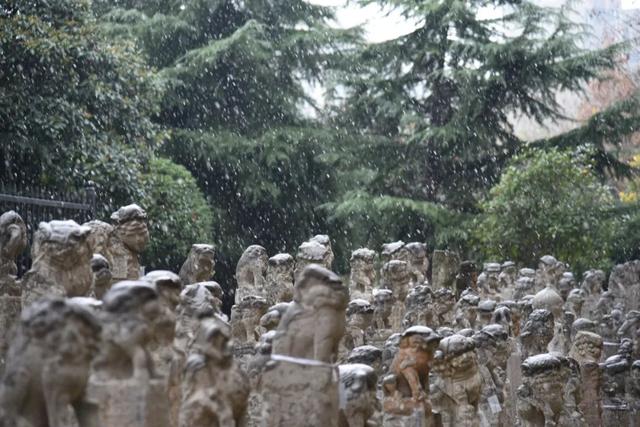 美院遇雪，纷飞间