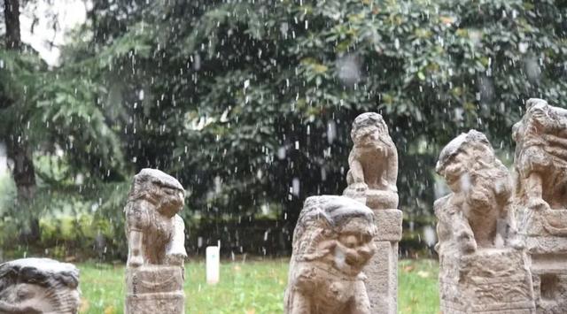 美院遇雪，纷飞间