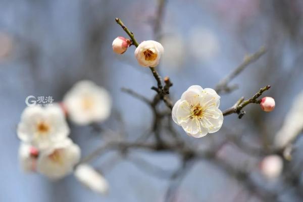 注意！青岛这些长途车票价、班次和时间有调整