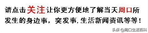 收藏！周口恢复107条线路，省内18地市最全客运信息来了！