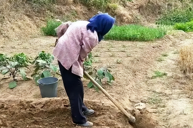 没出月子就被累死，不到两月女儿也去世，丈夫一个动作被揭穿老底