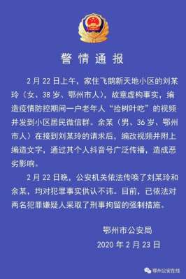 鄂州美女叶(鄂州警方辟谣“老人捡树叶吃”：两人虚构事实编改视频被刑拘)