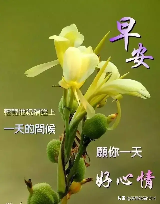 非常漂亮的美女早安祝福图片带字 早安祝福语富有哲理早安句子