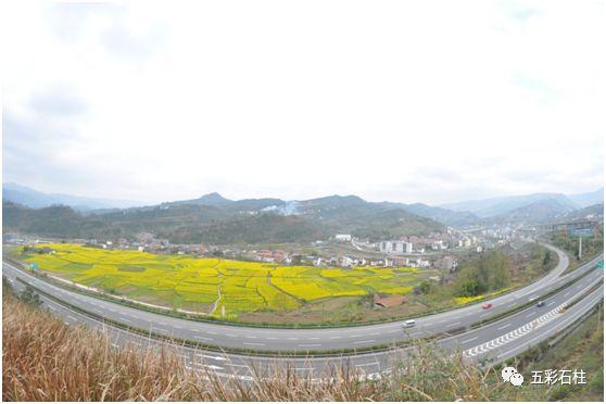 趁着春光感受土家风情，石柱美女部长邀您踏青赏花