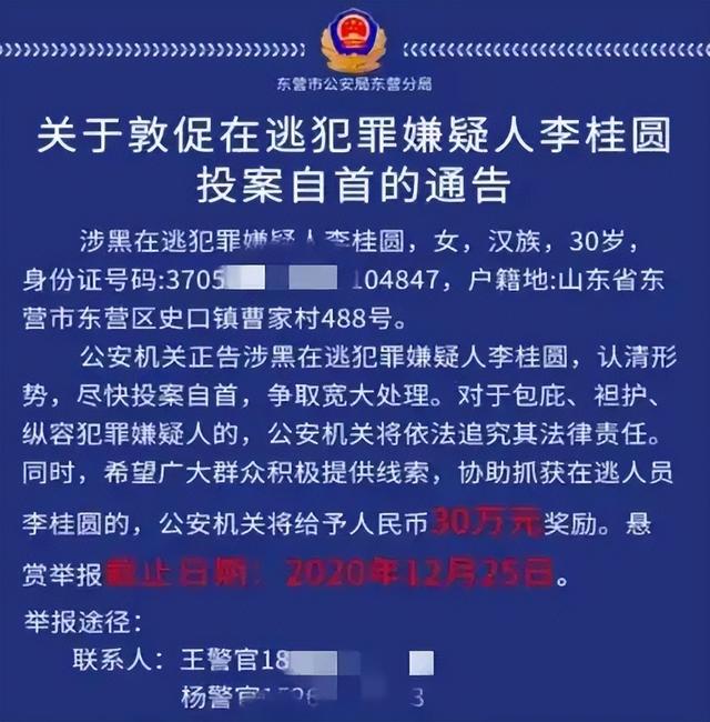 山东美女黑老大，靠怀孕取保候审逃跑，被悬赏30万通缉，还未落网